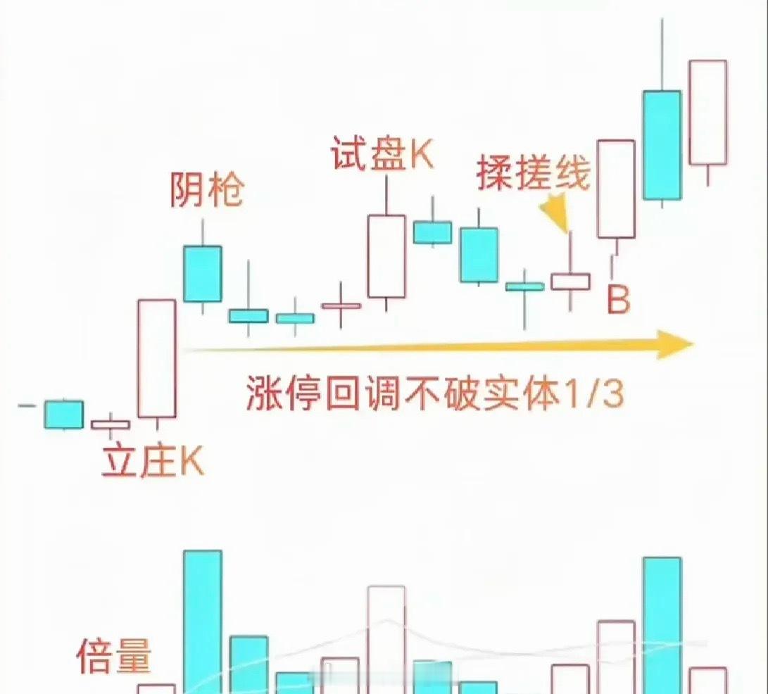 涨停板战法的一种，仅做逻辑拆解，不涉及具体标的。涨停板打辨识度。次日放量，无所谓