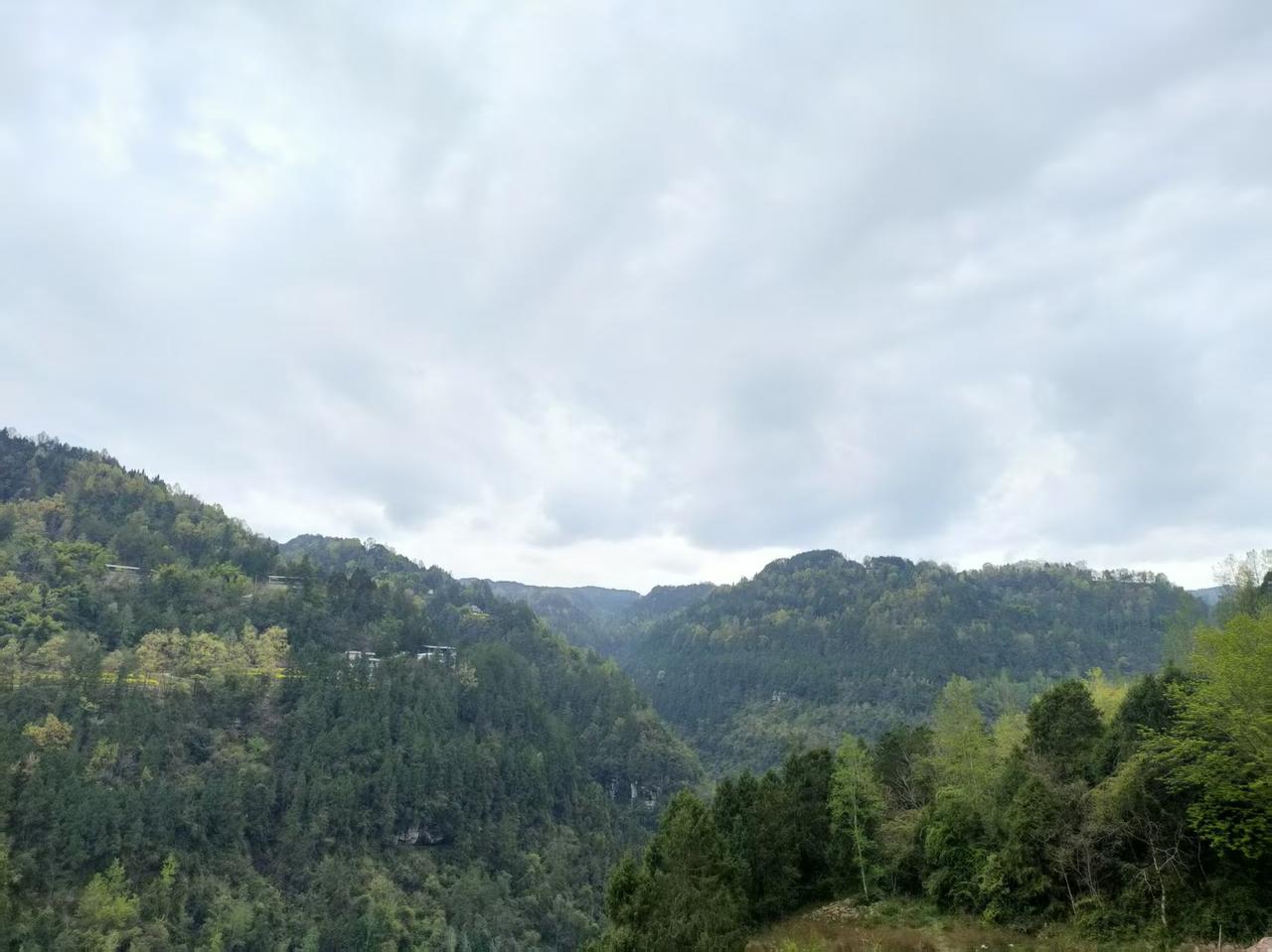 今天是周末，
天空上飘散着乌云，
感觉好像快要下雨啦！
我也顺带去爬了大巴山，一