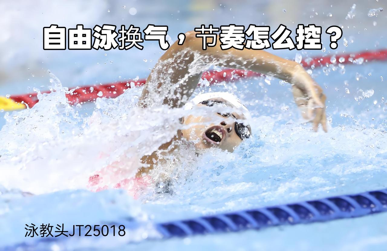 两划一换，最稳最省力

在自由泳练习中，绝大多数泳者都会遇到同一个核心难题：换气
