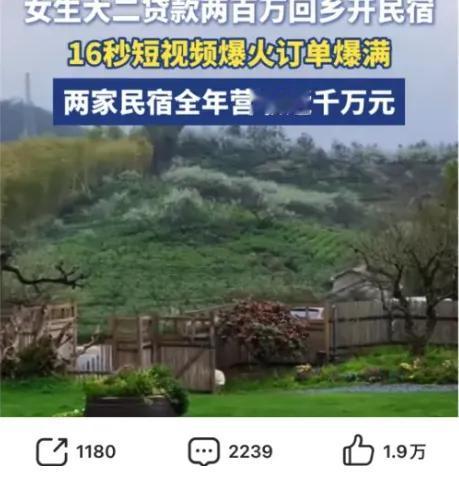 大二女生贷200万开民宿年入千万？好吧，你们接着嗨！但我要说的是，这碗鸡汤里藏的
