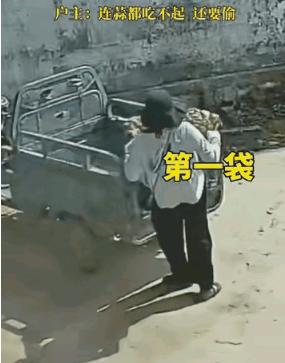 5月23日报道，江苏一农户把蒜堆自家门口晾晒，一女子提前踩好点后骑三轮车上门徒手