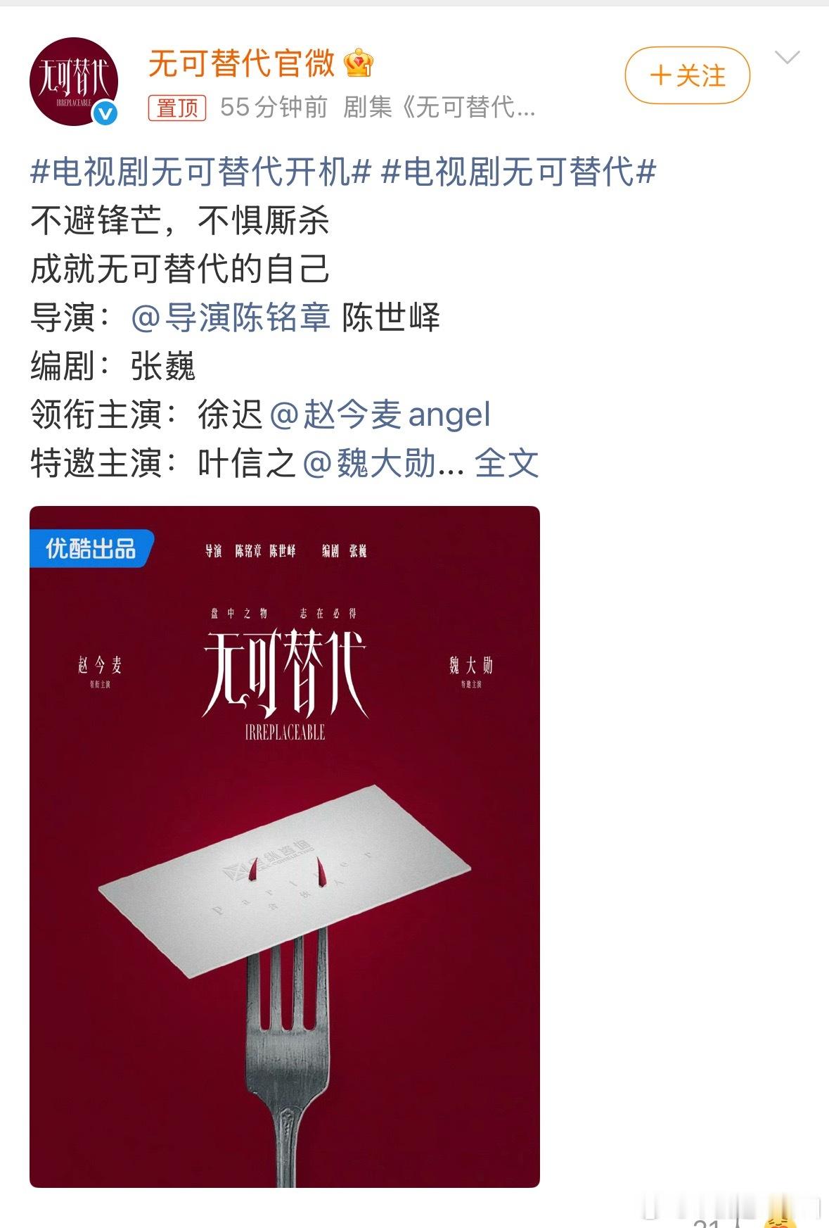 赵今麦、魏大勋电视剧《无可替代》开机了简介：讲述禀承“这一生绝对不能被别人替代”