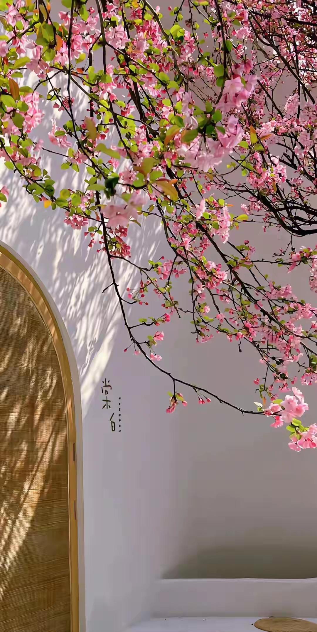 一位教授说:

曹操喜欢少妇，李世民喜欢少妇，蓝玉喜欢少妇，历史上还有数不胜