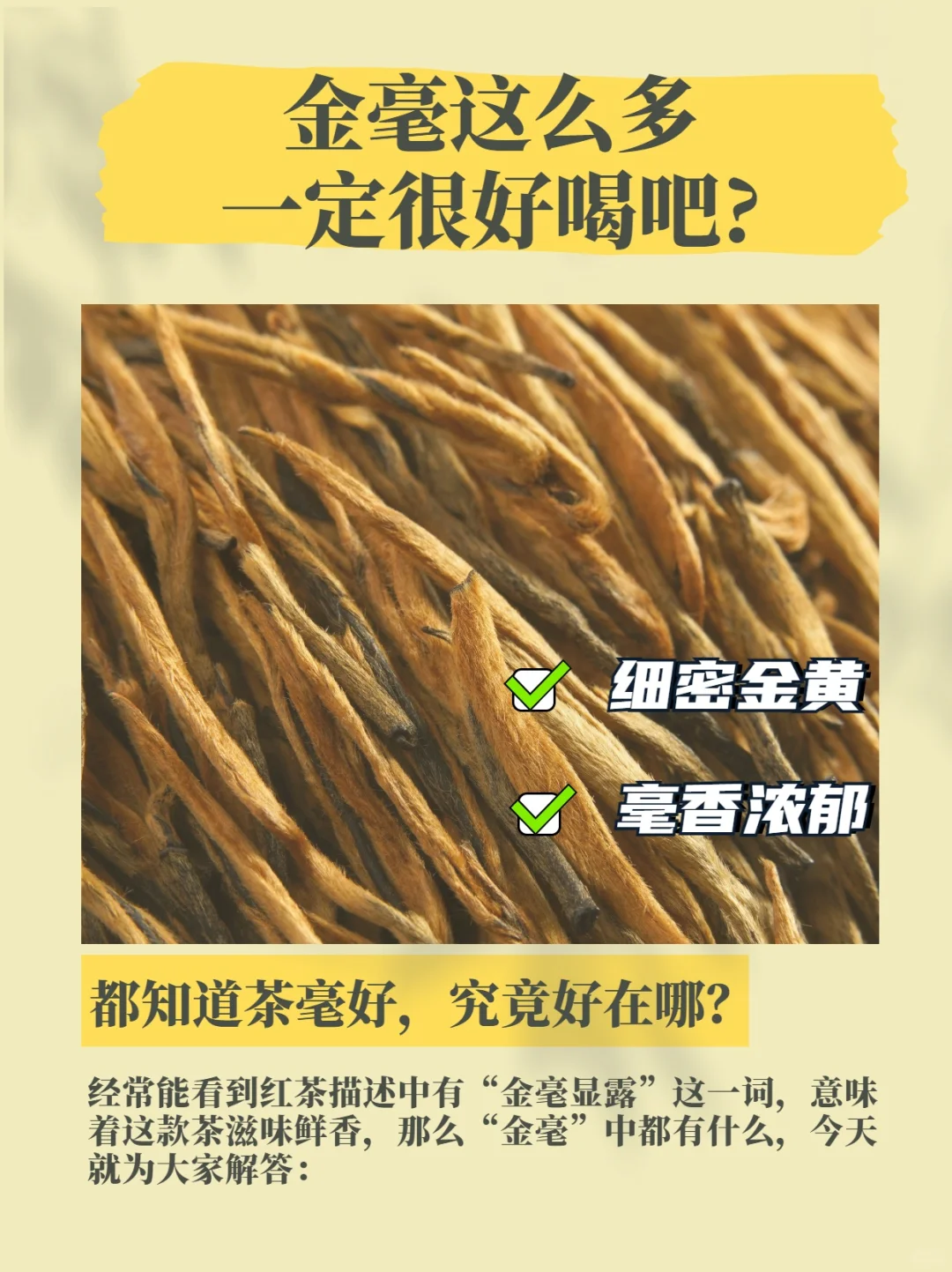 茶叶金毫显露，“金毫”里面都有什么？