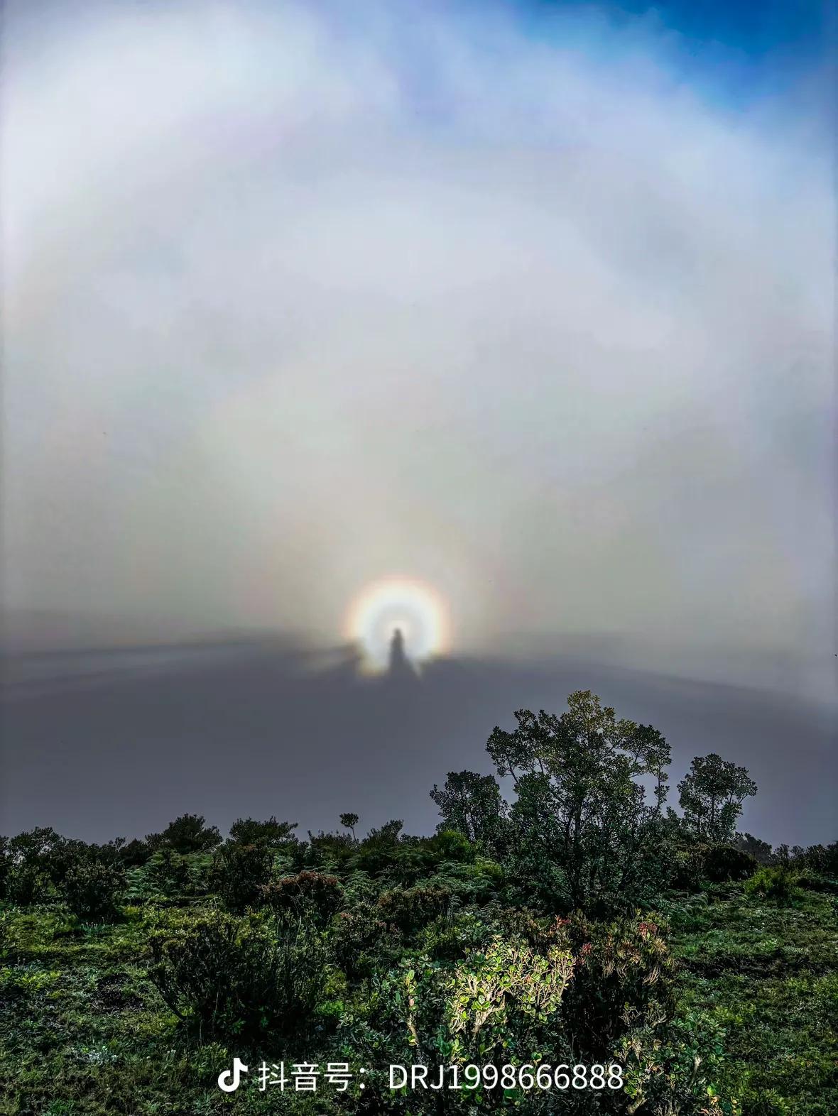 中国最大露营基地，贵州百里杜鹃避暑，有多震撼