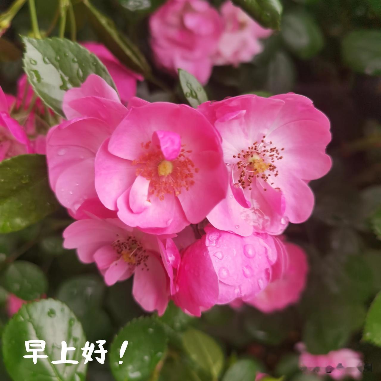 春雷惊醒了沉睡的大地，急促的春雨带着电闪雷鸣，一改润物细无声的轻盈，为谷雨播种带