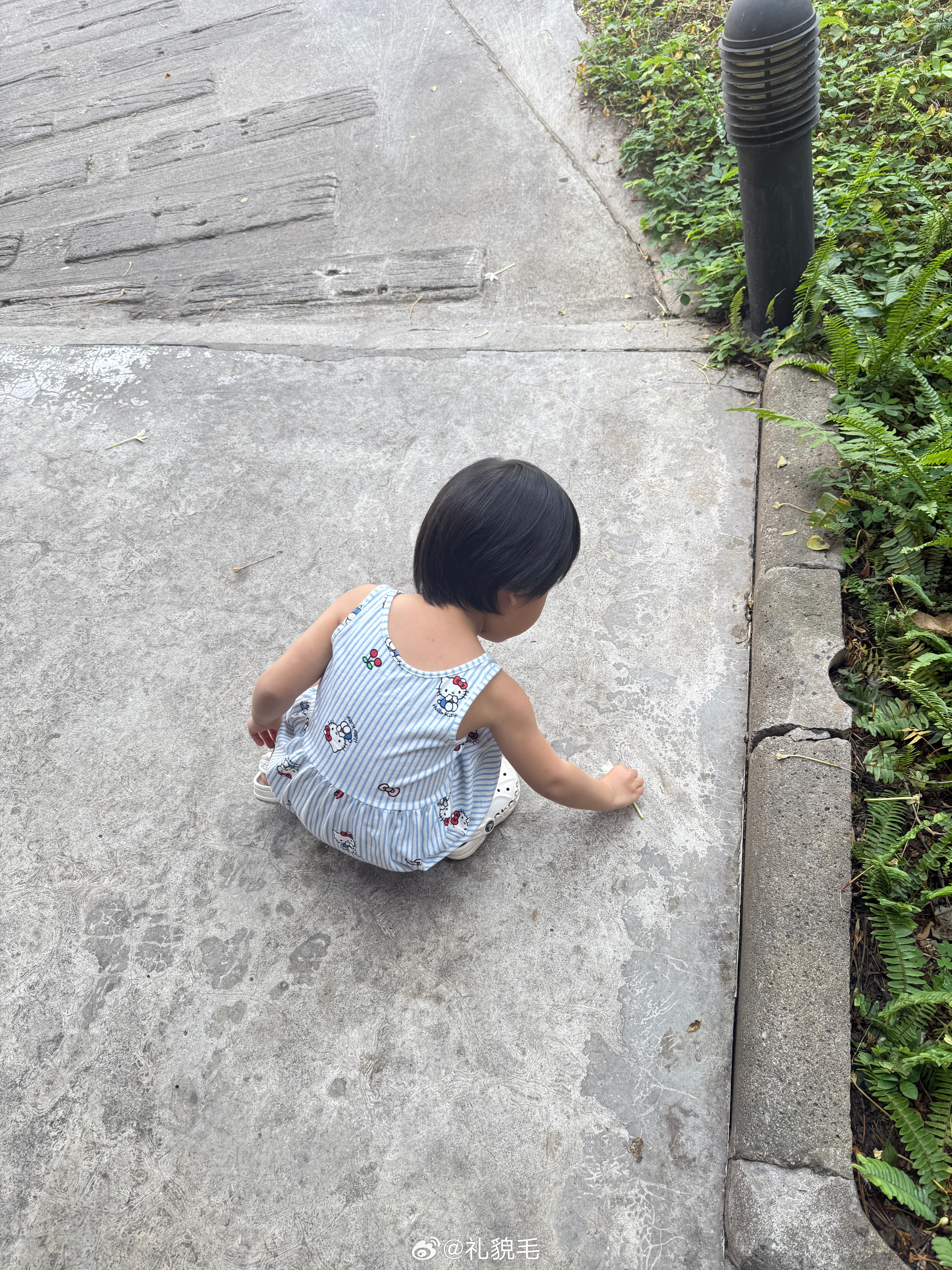 回房间的路上球宝突然问：是今天回厦门吗我有点担心她会哭着说不走没想到她说我想奴奴