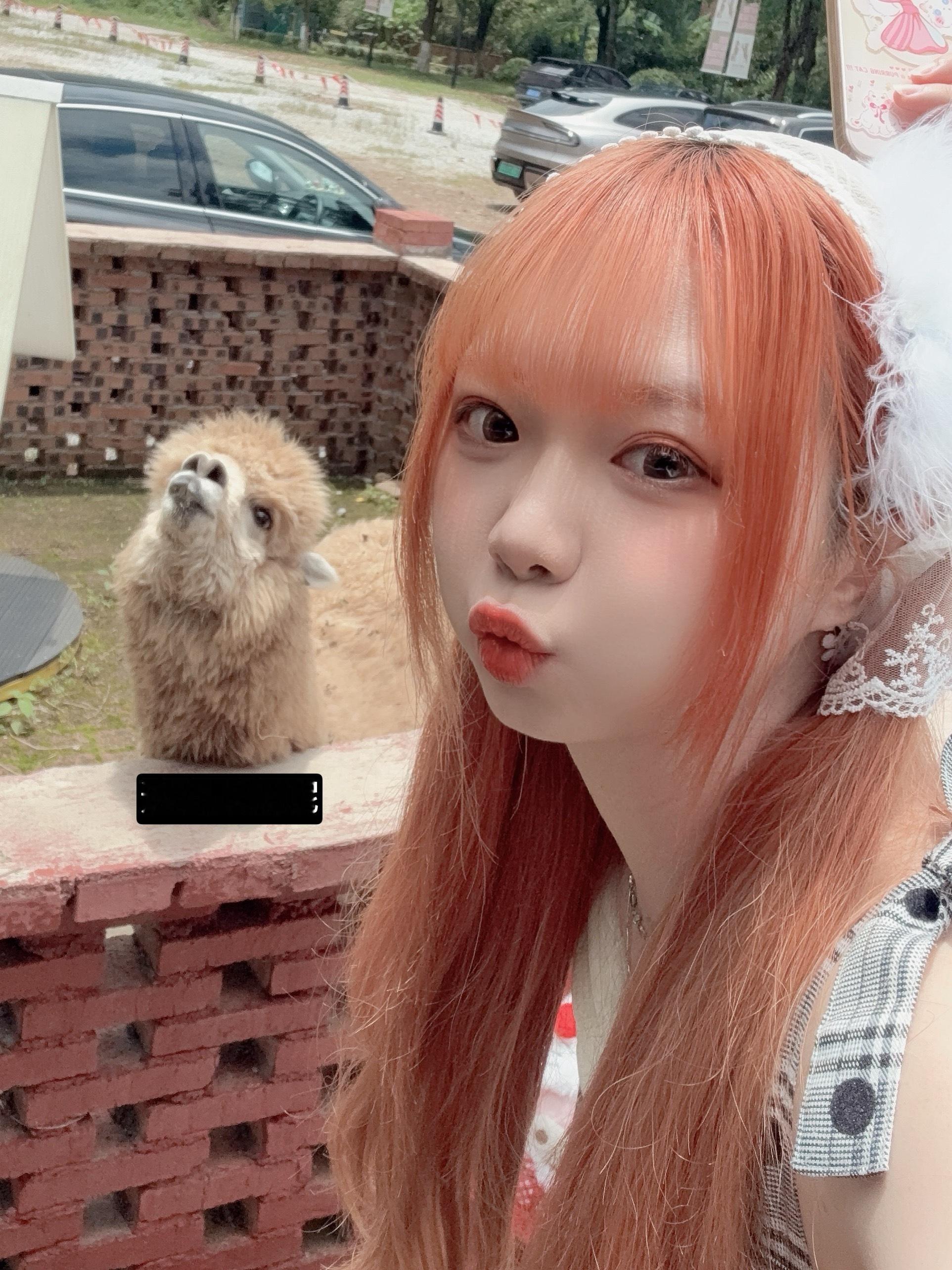 诶 我短暂的养老生活结束了江西菜好好吃……每一餐都很香……很包容广东人的辣度我太