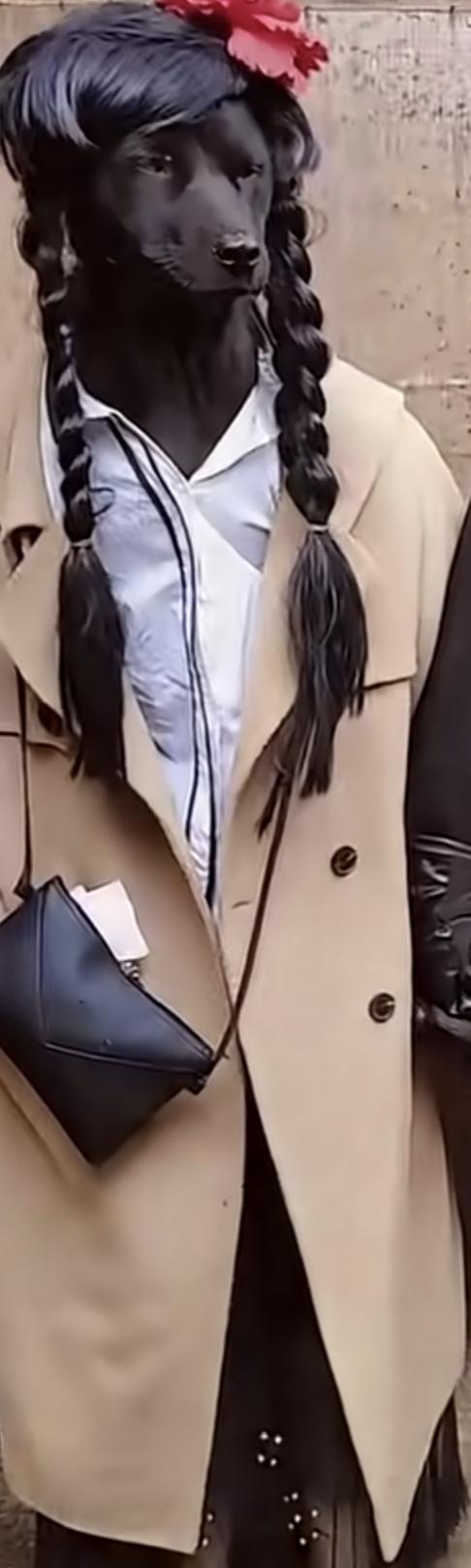 小狗子的长头发黑的看不出睁眼还是闭眼.