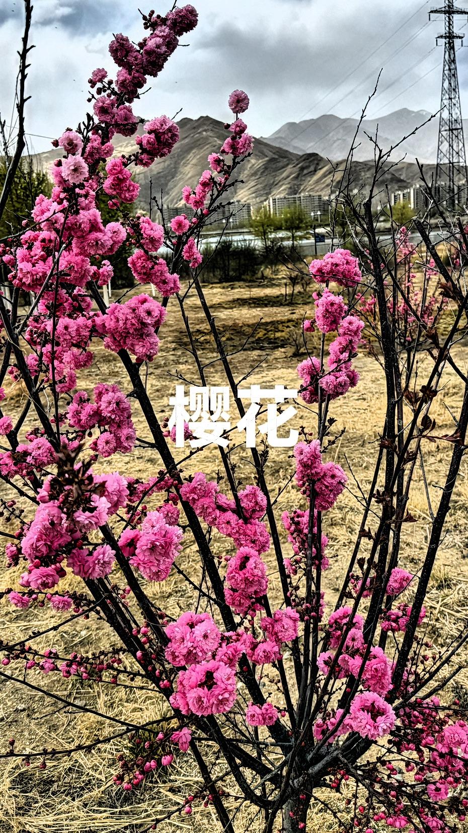 今天状态格外轻松愉悦！我身处广东省，天气晴朗无比，阳光灿烂夺目。
早上等通勤车时