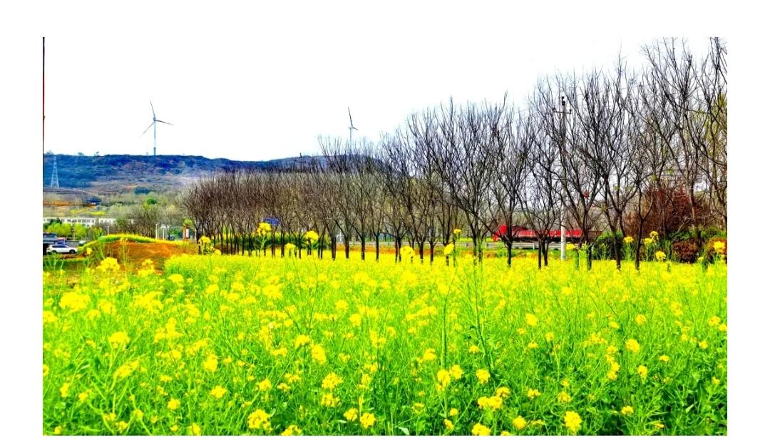 春天来了，朋友圈别再只发“春暖花开”了！
看这副对联——“五湖花醉三千客，暖日风