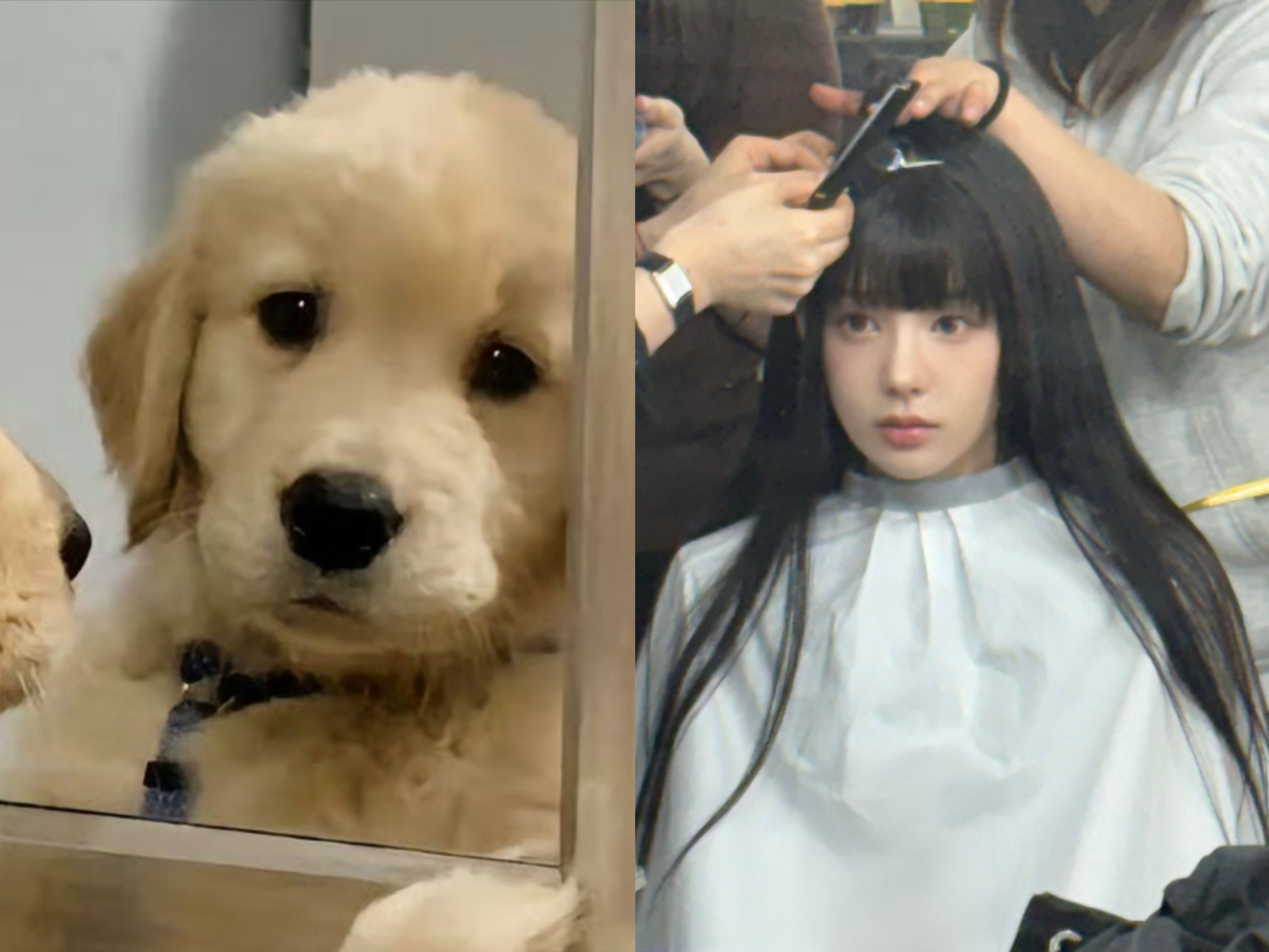 完全 