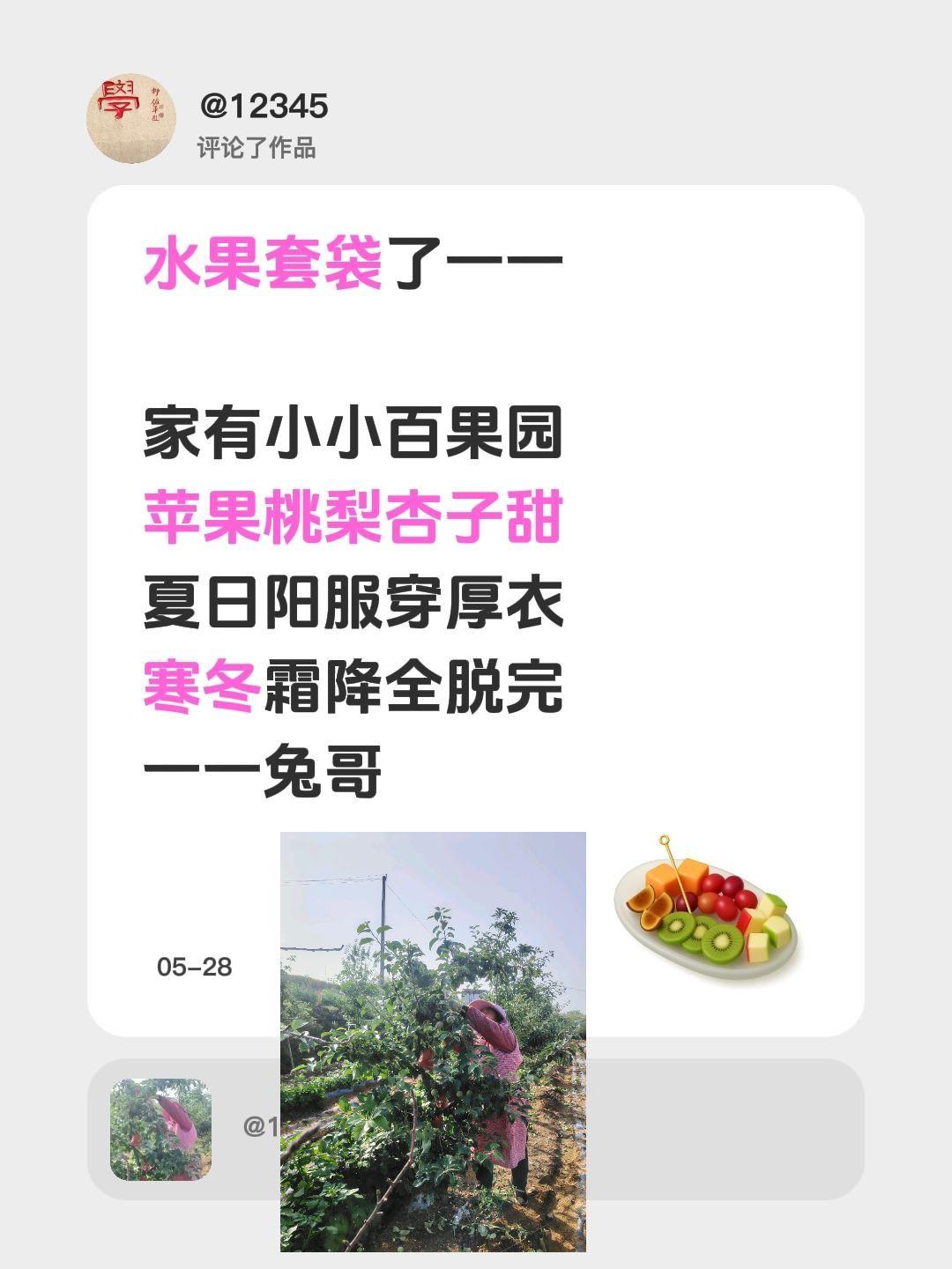 每日一图随手拍