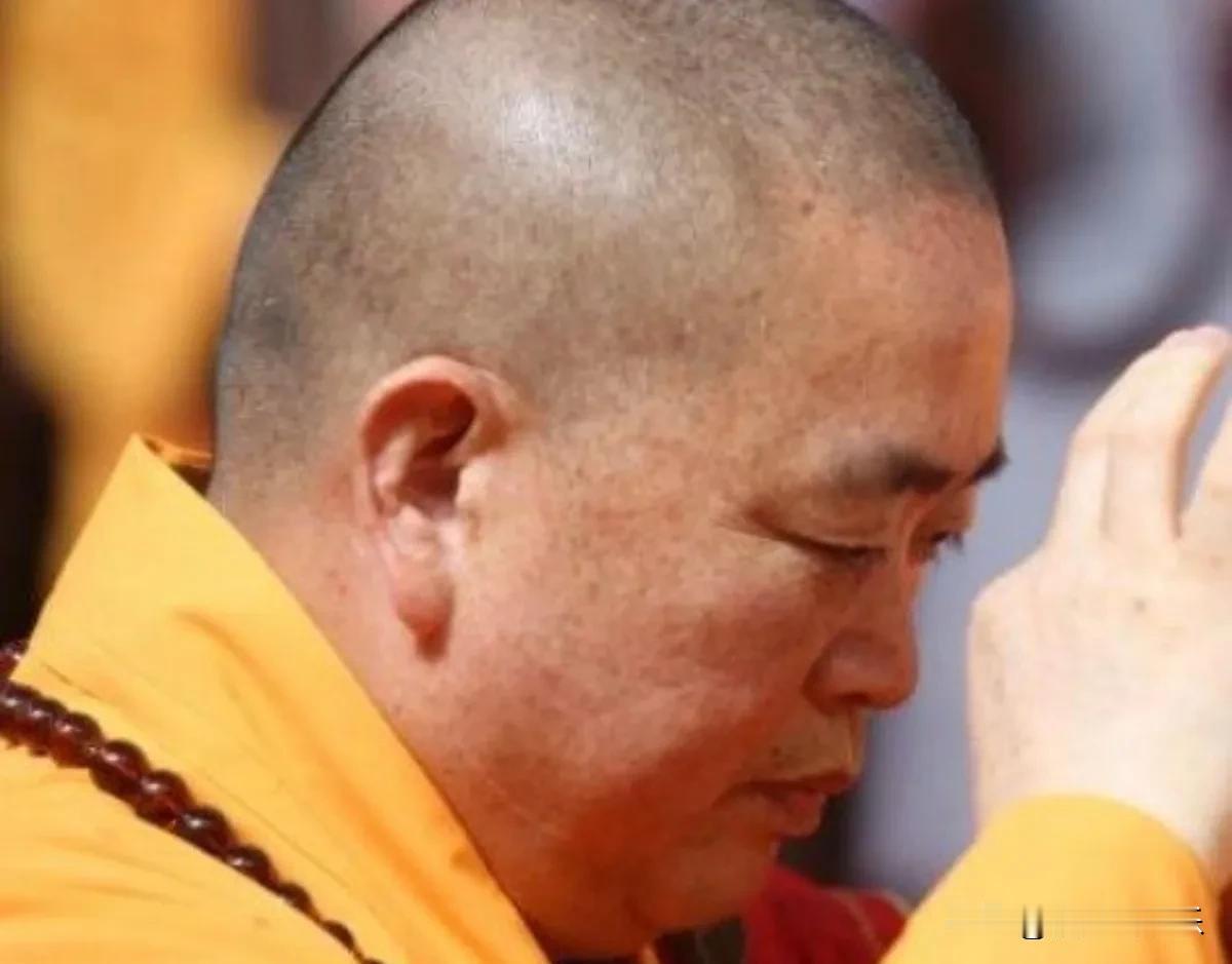 释永信对少林寺形象影响多大应该说不仅仅是对少林寺有很大很大影响对整个佛教文化都有