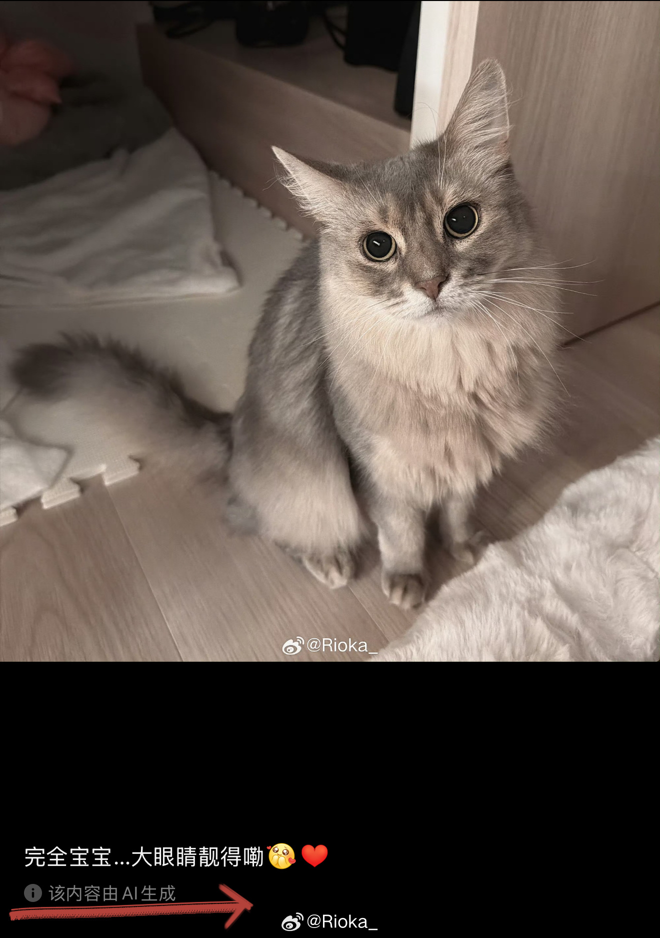 微博的ai判定也太随意了（……）平时拍饭被判断为ai就算了怎么猫猫也变成ai了…