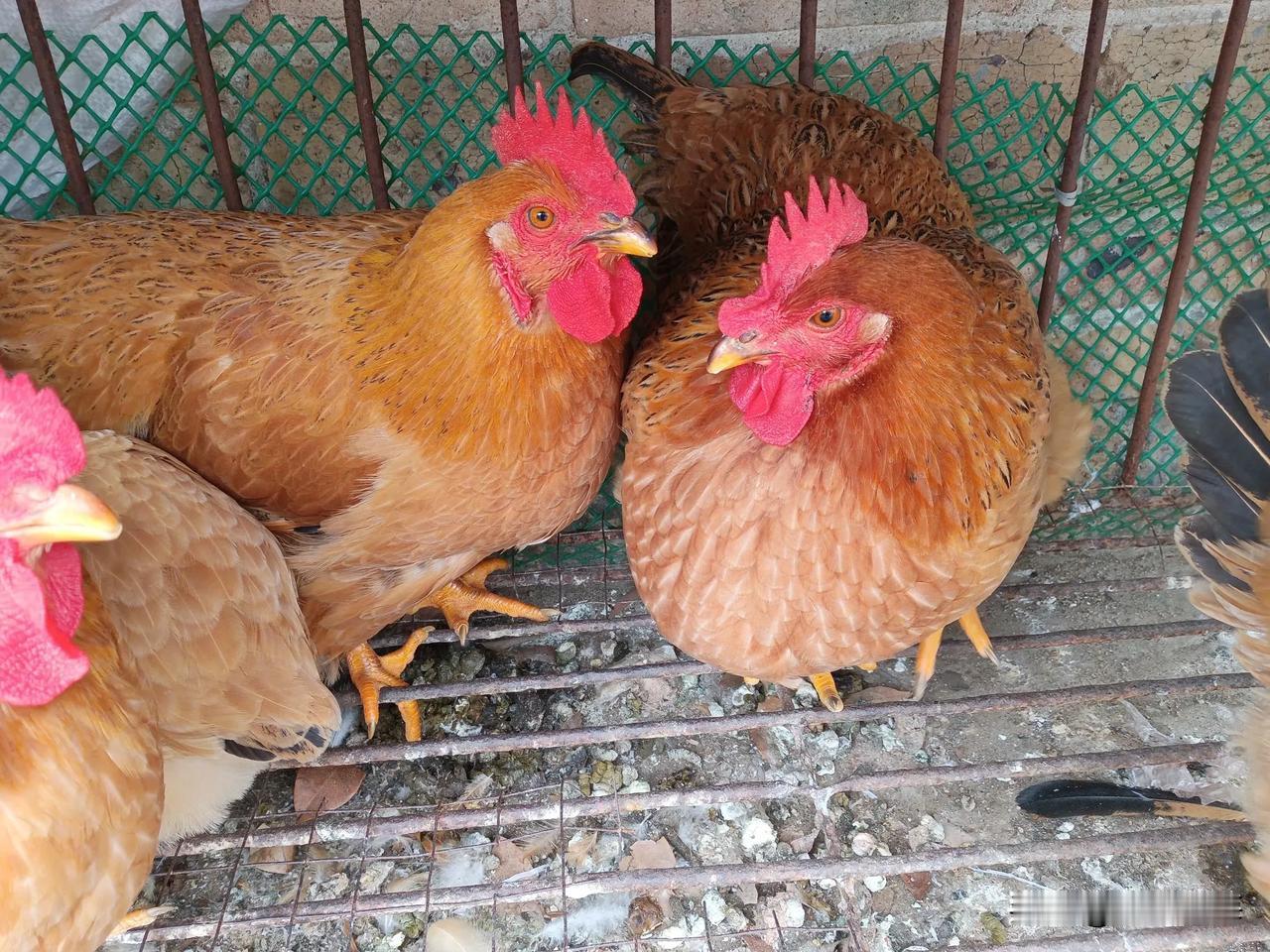 2025年约40%股民赚钱，赚钱50%以上约11%，有近60%股民亏损，赚得少(