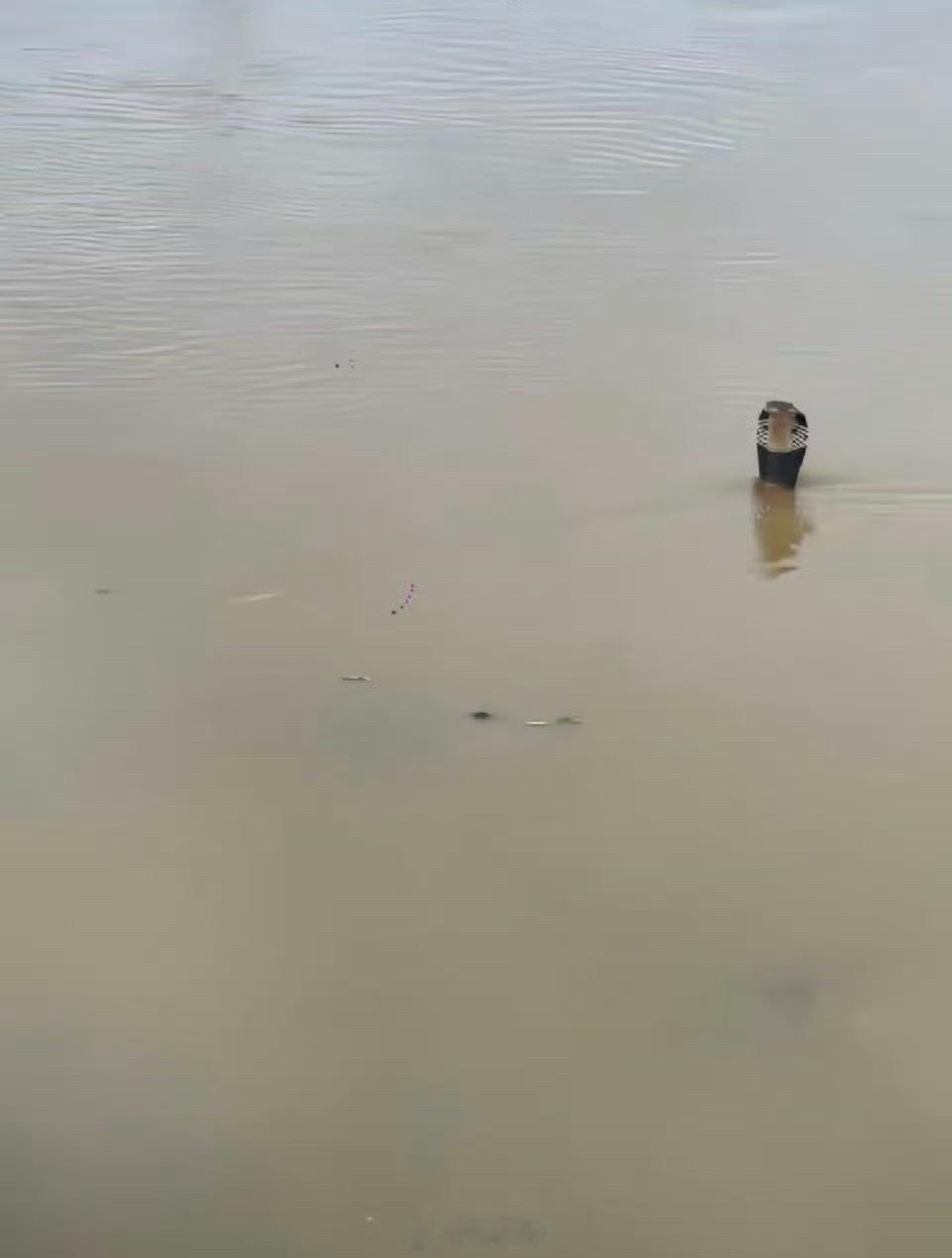 广西暴雨小心蛇类出没注意安全 西安·华严寺