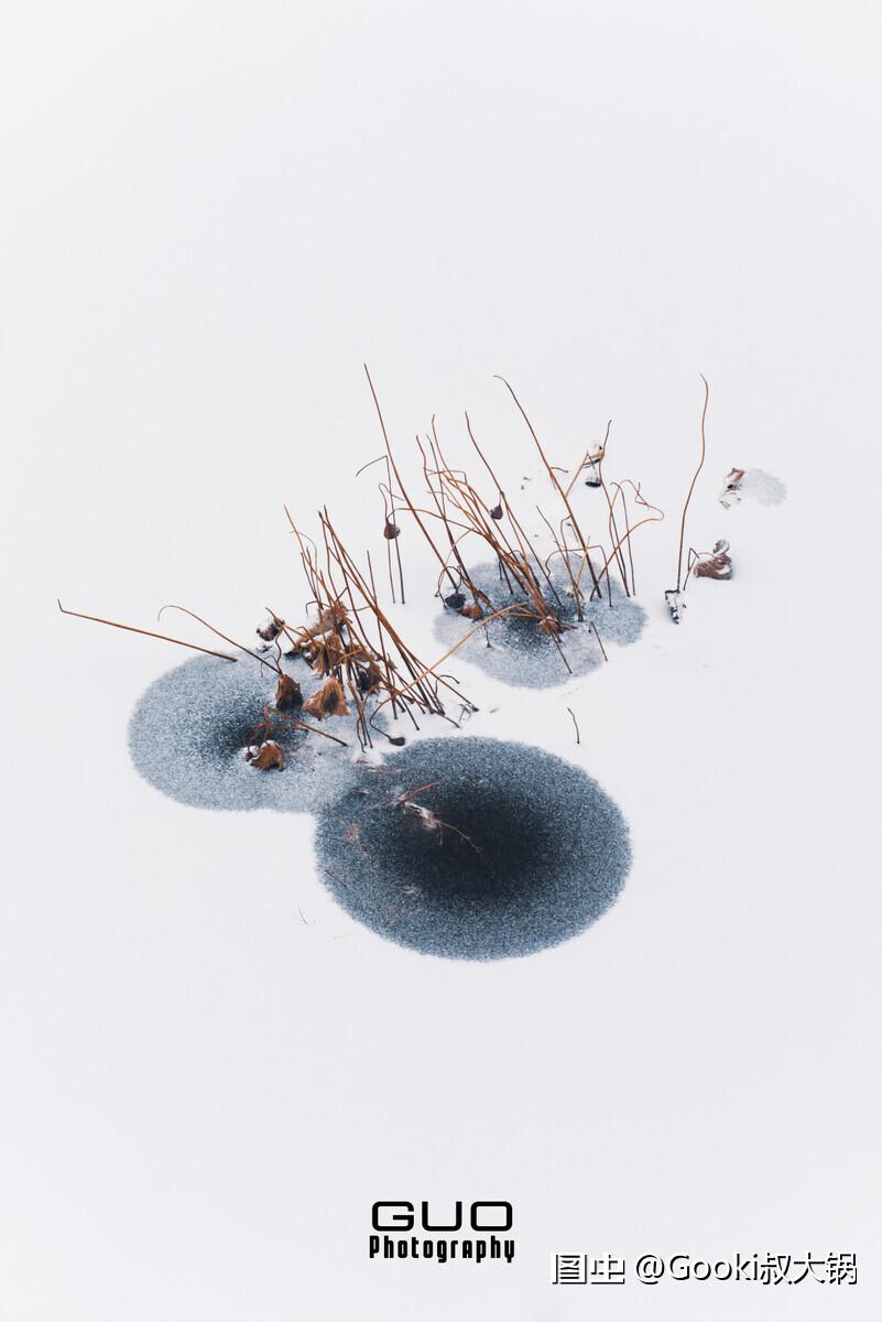 都说中国水墨画是写意，今天拍了这张照片，很显然，水墨画既写实又写意。「#2023