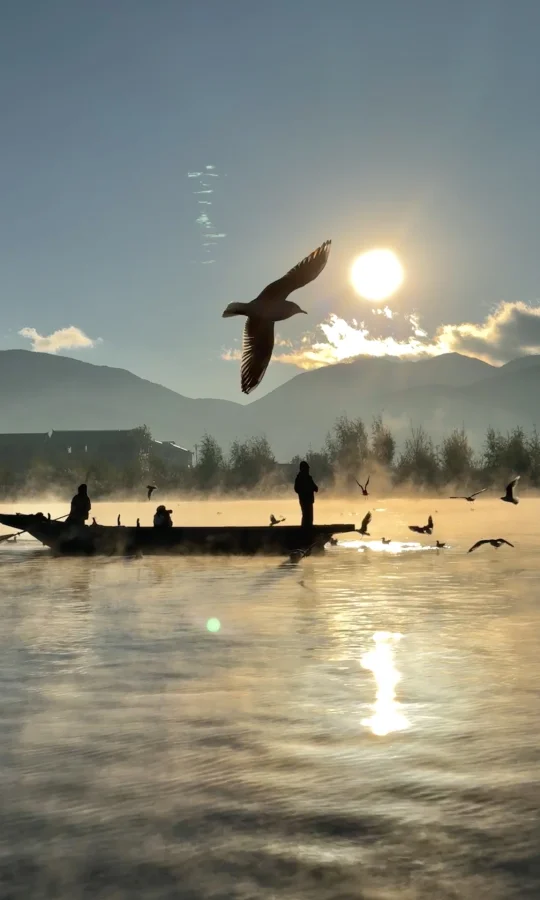 用满屏live打开云南封神级别的淡季‼️附机位