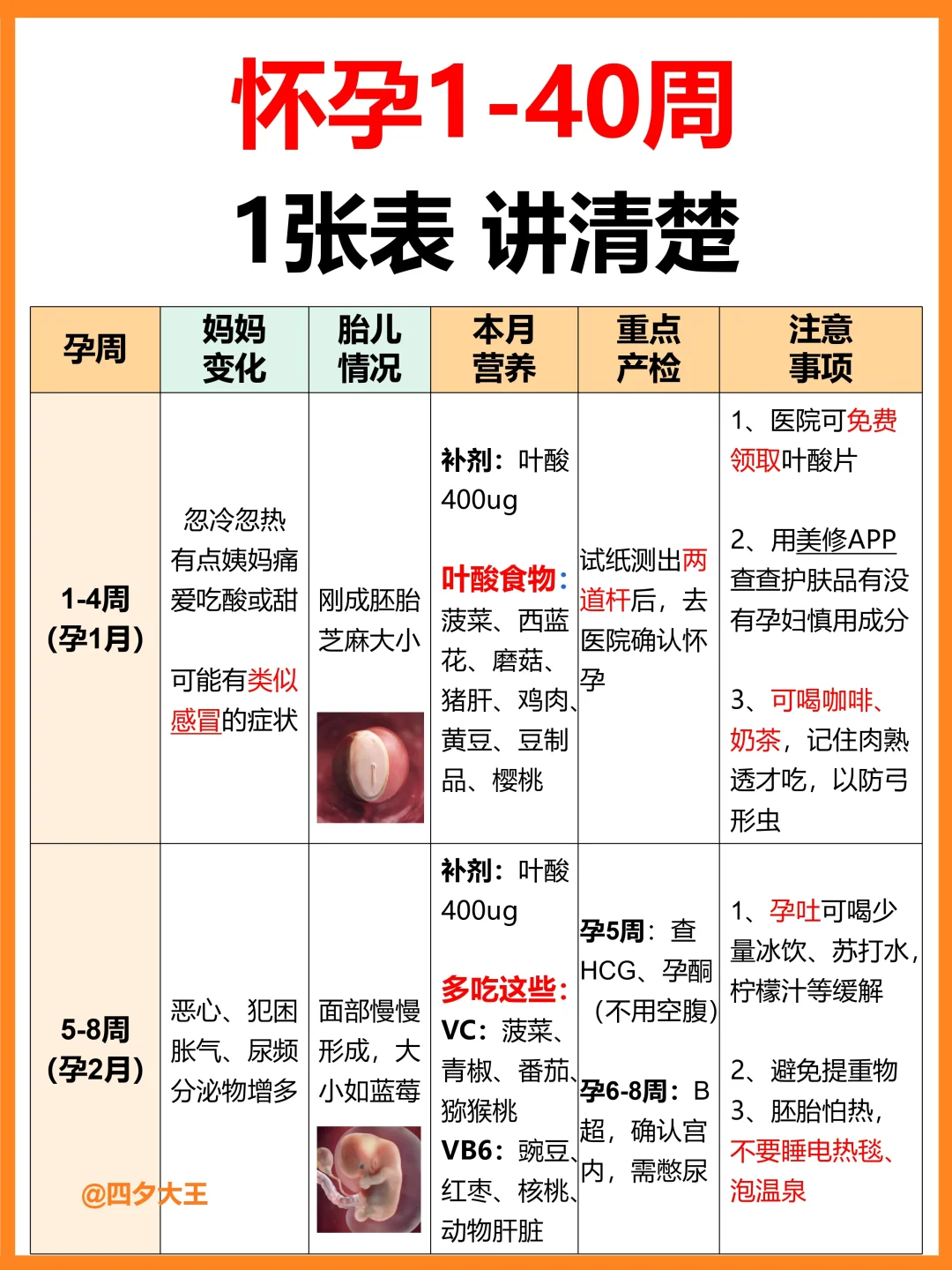 怀孕1-40周，每月要做什么+注意事项，收藏‼️