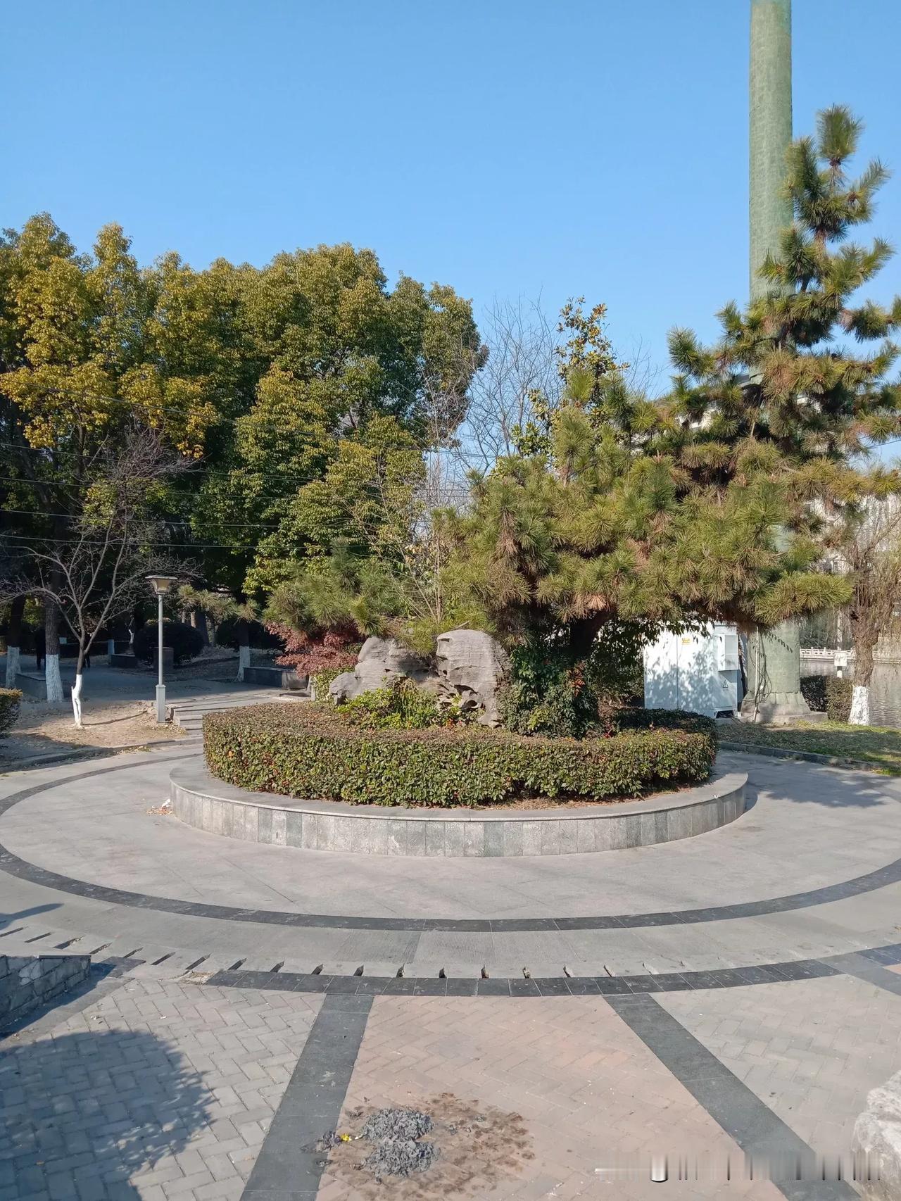 徐州黄河公园也有一颗迎客松，清晨在阳光照射下显得郁郁葱葱生机勃勃，徐州人都称之为