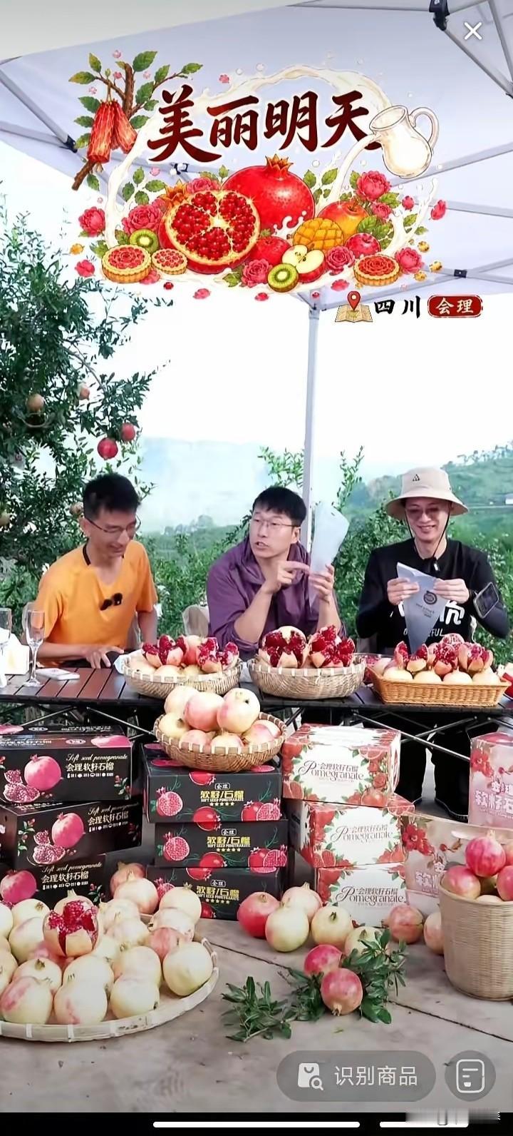 美丽明天云贵川渝专场拉开帷幕，直播间人气下滑严重，形势严峻。

29号上午8点美