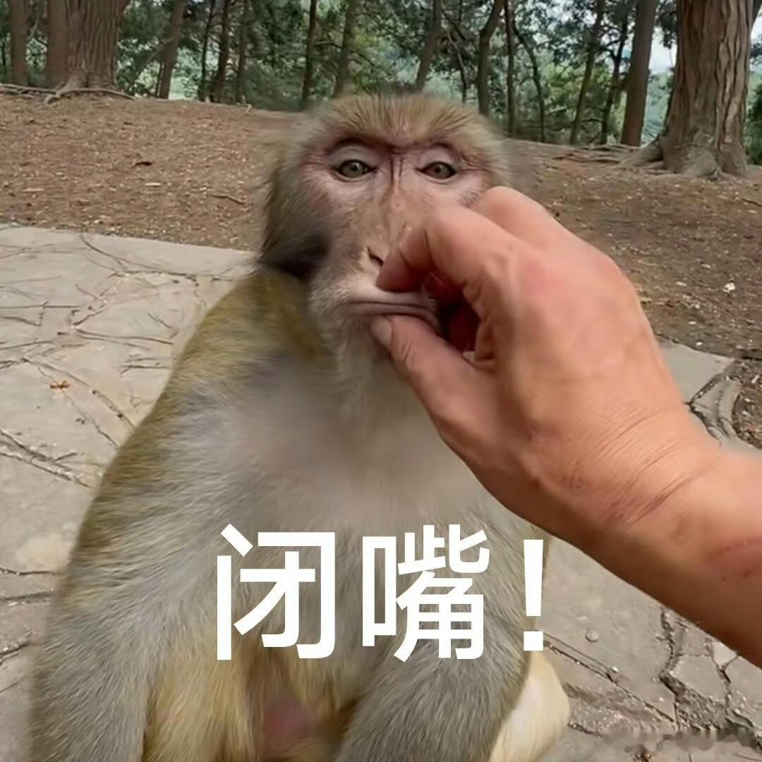 最尊重猴的剧组出现了 别的剧组给猴穿金戴银搞偶像包袱，这剧组让猴穿工服大闹办公室