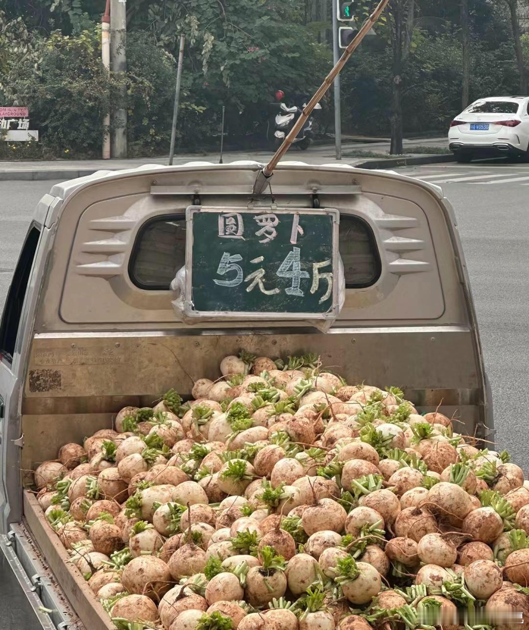 老板说明年不种了，准备进城打工去了 ​​​