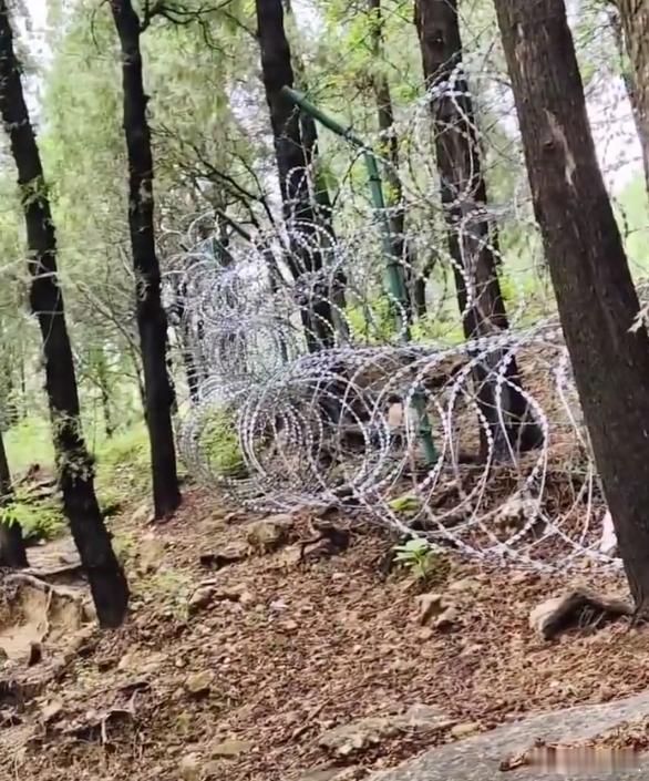 泰山疑被135公里刀片铁丝网围住 这真的是为了防护吗？ 防护一定要用刀片刺网吗？