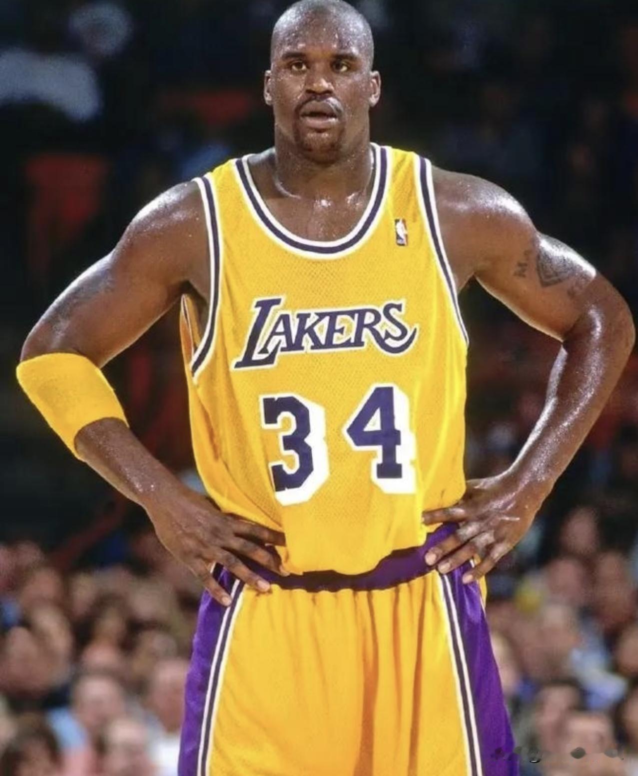 NBA历史打球最硬的五大中锋！现在的中锋真是差远了！大家觉得呢？

奥尼尔

纯