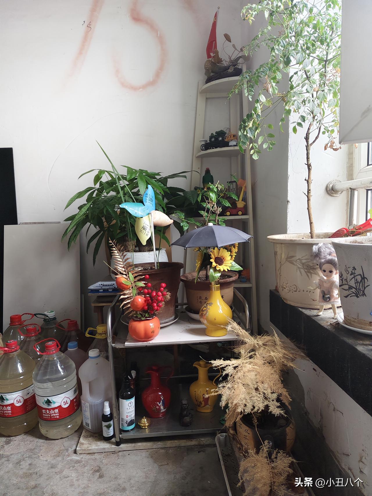 高层楼道消防通道的垃圾，谁还有我们小区这么多的，简直无语了，年贴告示年年这样。真