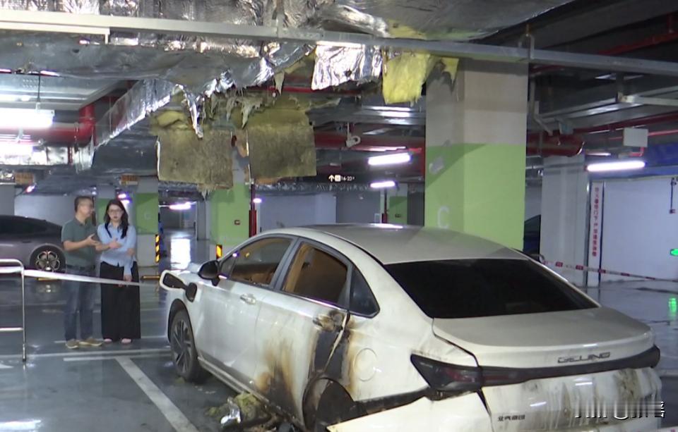 停一夜就自燃？新能源车烧成废铁，佛山车主：对厂家保险“非常失望”。所以海南轮渡要