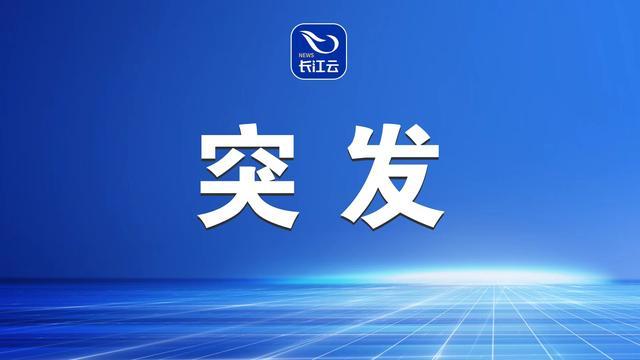 突发，近日俄罗斯这是遭遇“气球大轰炸”了！据俄《观点报》报道，俄防空部队一夜就击