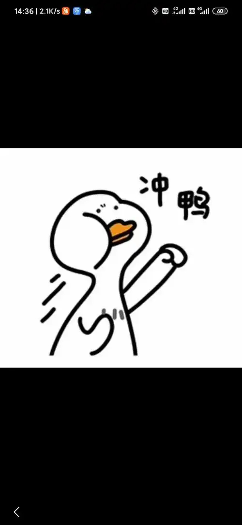 双11真的到了还是得上淘宝那份熟悉的期待又来了，打开那个熟悉的页面，就像翻开一本