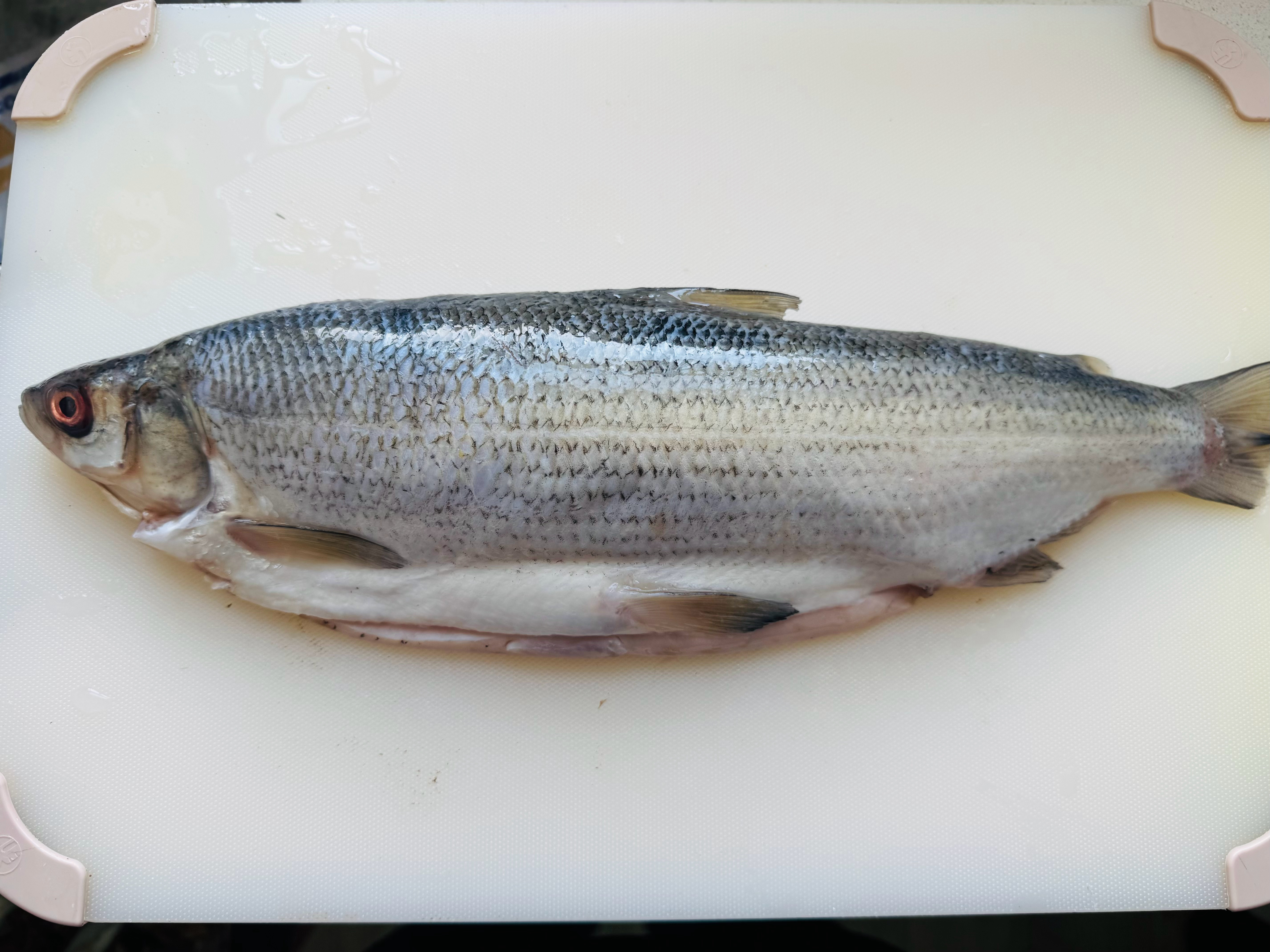 过去只是低温慢煮牛排，今年因为接触一些新的食材也做了新的尝试。比如白鲑鱼用了52