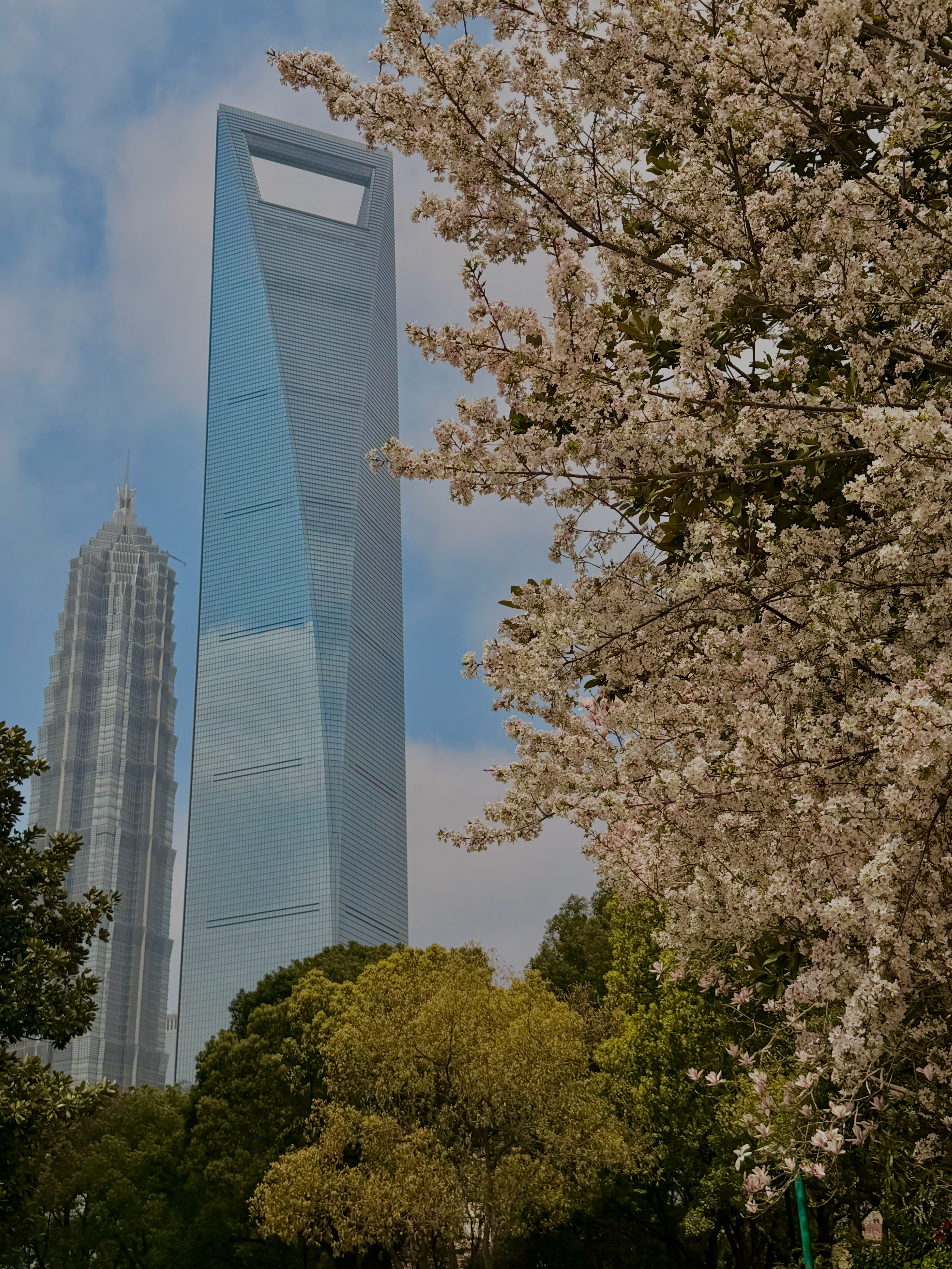 春日母职周末🌸 