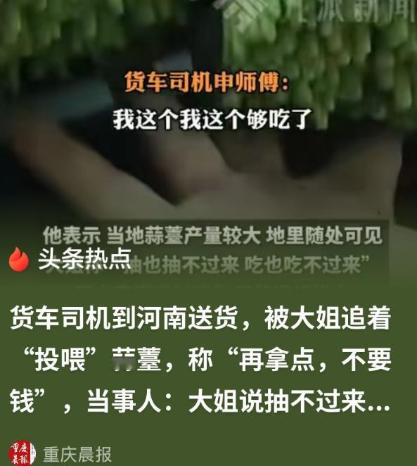 河南安阳，一货车司机途经一片农田，他看到路边堆了大量蒜薹，就多看了两眼，结果一陌