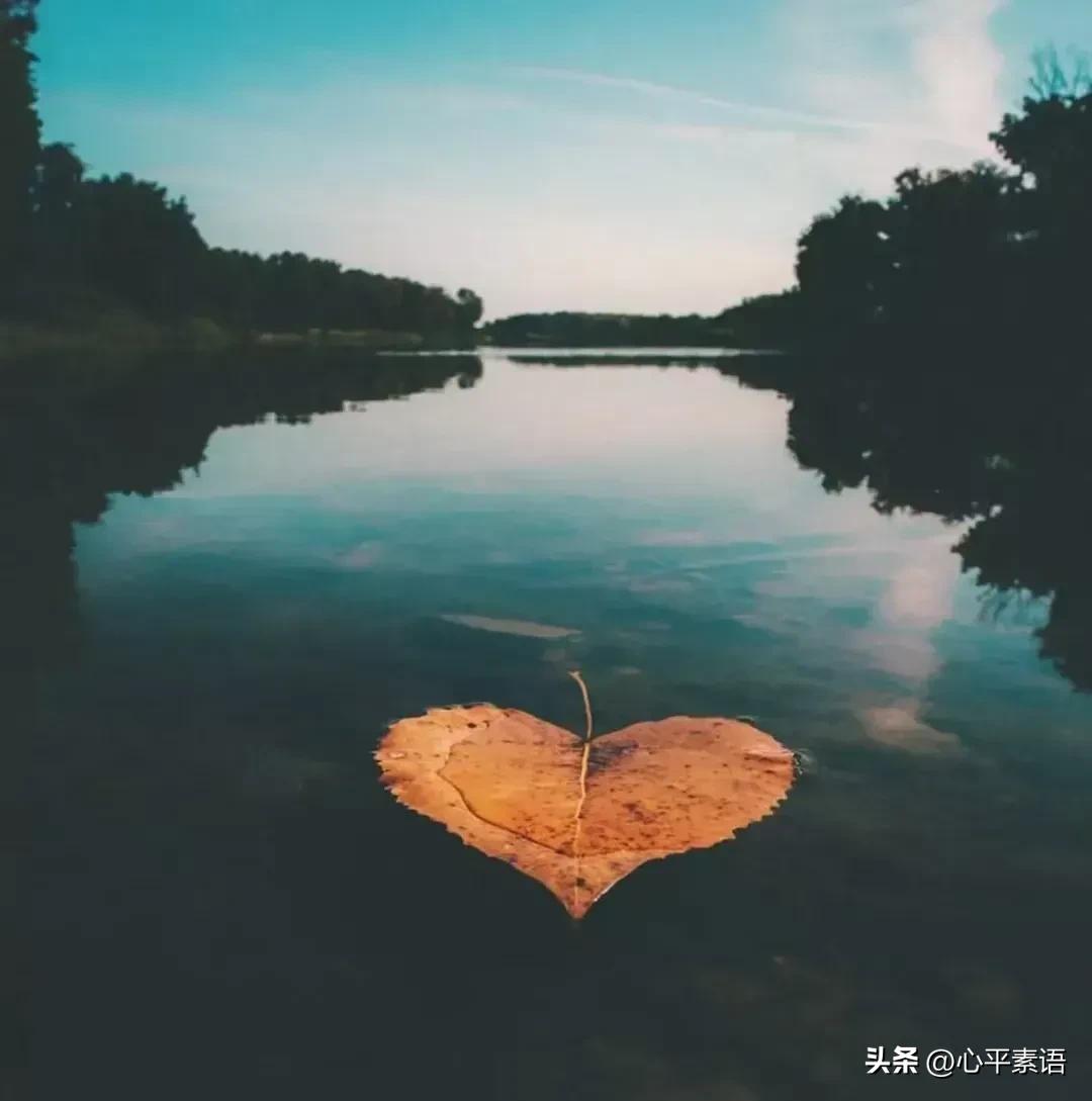 最朴素的长寿秘诀：

1.儿孙琐事全不沾。
2.双脚扎在故土根。
3.手脚不闲筋