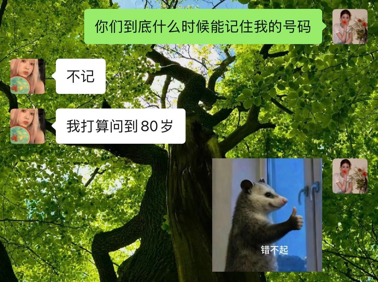 我就知道 