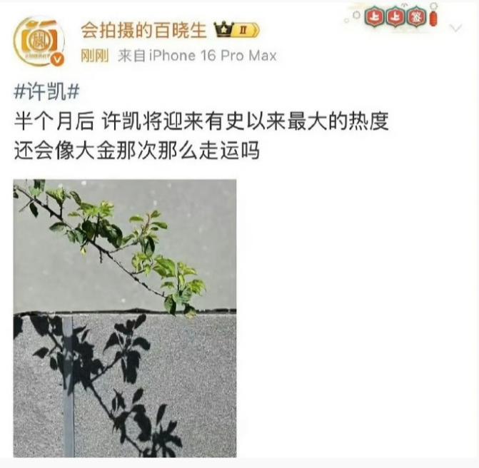 狗仔预告许凯半个月后有大瓜
还说许凯会迎来自己有史以来的最大热度，听这意思是要一