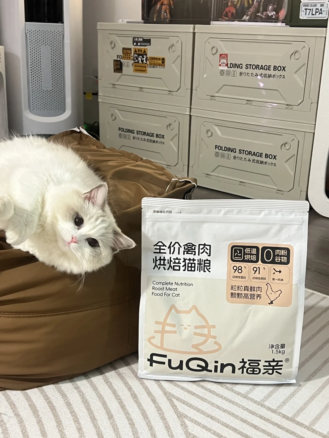 现在猫粮已经卷到造型都这么可爱了吗！！