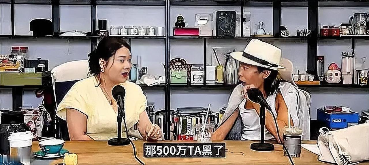 杨天真说到那个新人请经纪人吃饭的时候，停了一秒。那一秒，比她讲过的任何秘密都让人