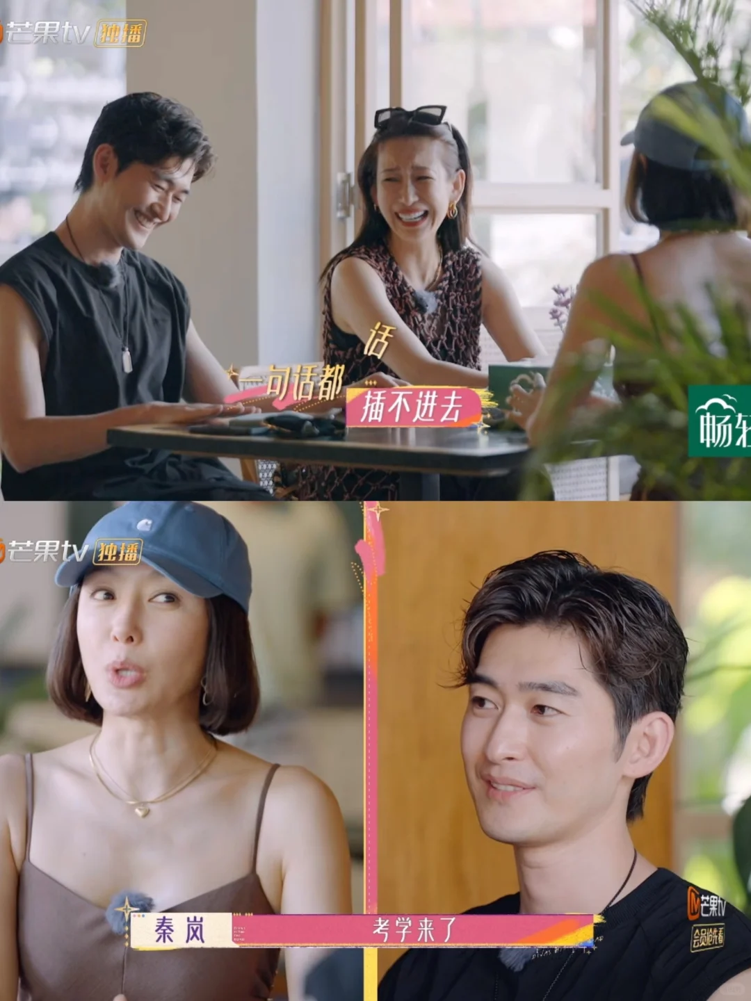 笑疯，秦岚这嘴巴张翰根本插不进去嘴