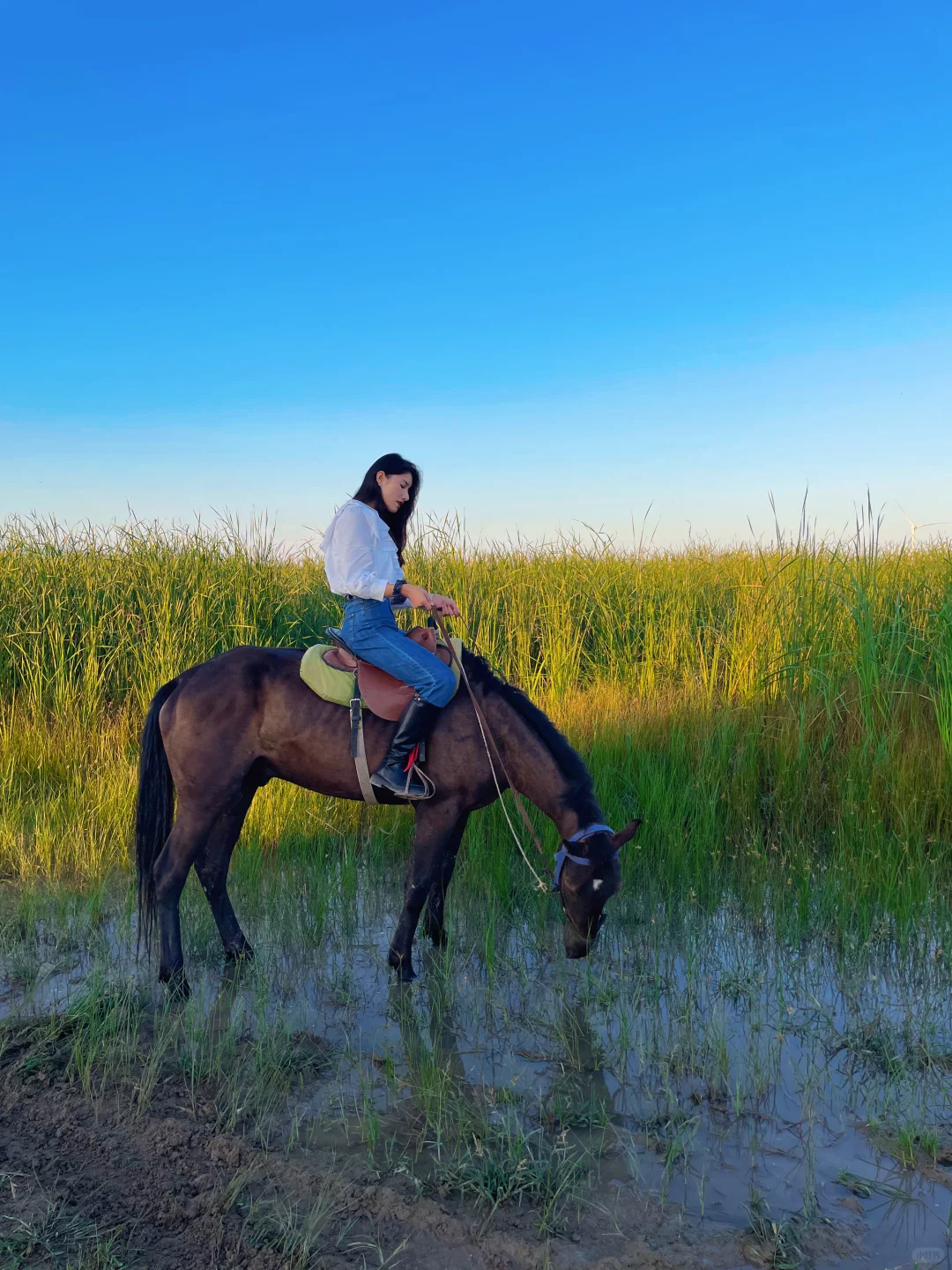 不是大理是北京‼在京西小“洱海”骑马看海🌊
