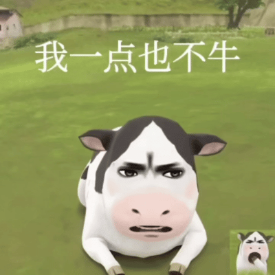 这辈子都不想爬山了