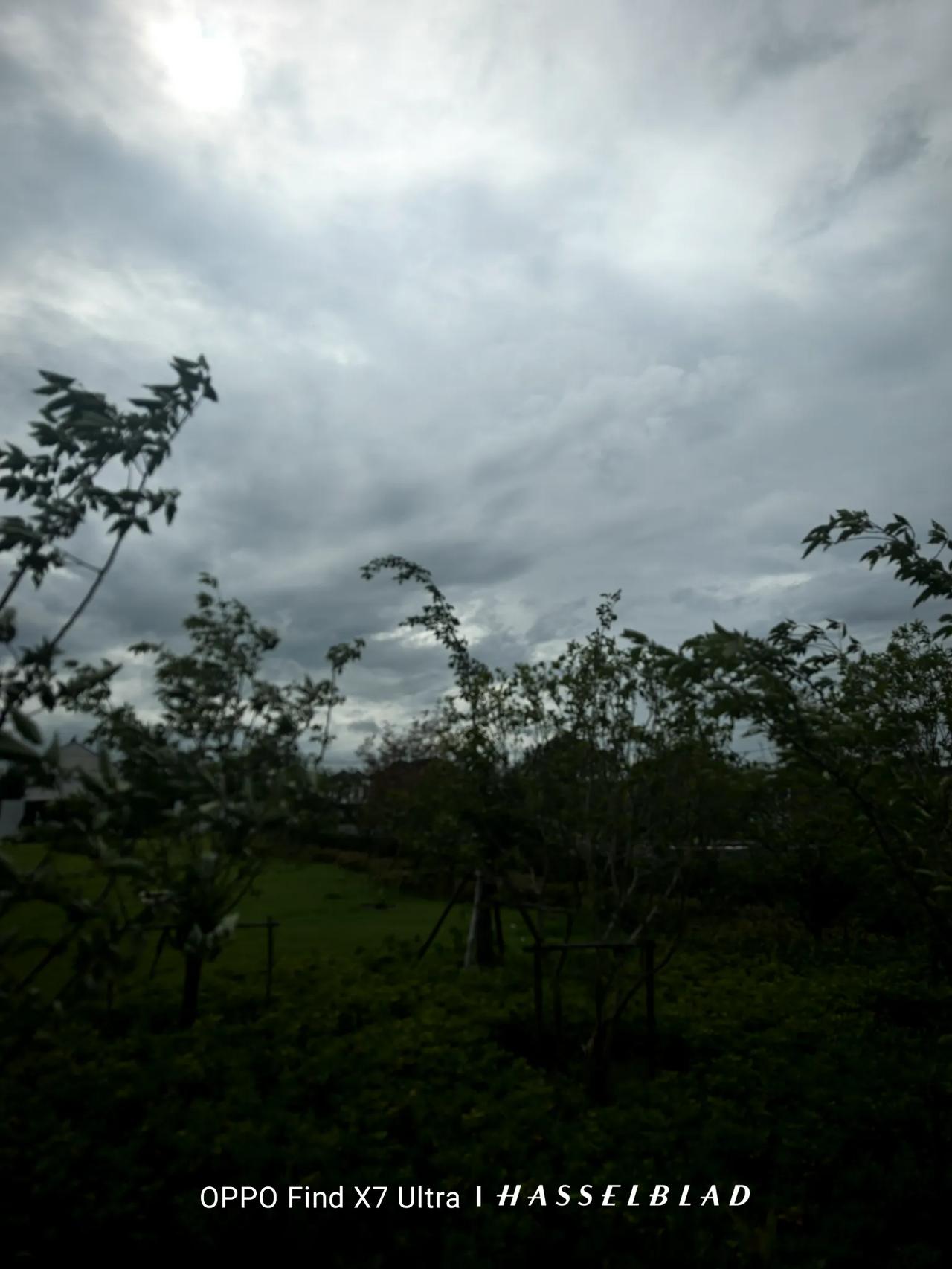 我在江南的梅雨里发呆。

云一波又一波在天空中涌动。工业园区的高楼在巨大灰色的云