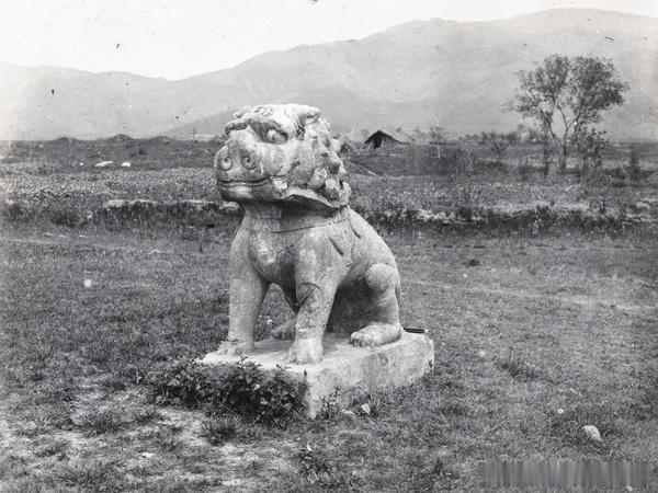 石狮子，Stone lion, Spirit Way神道， (南京), Xiao