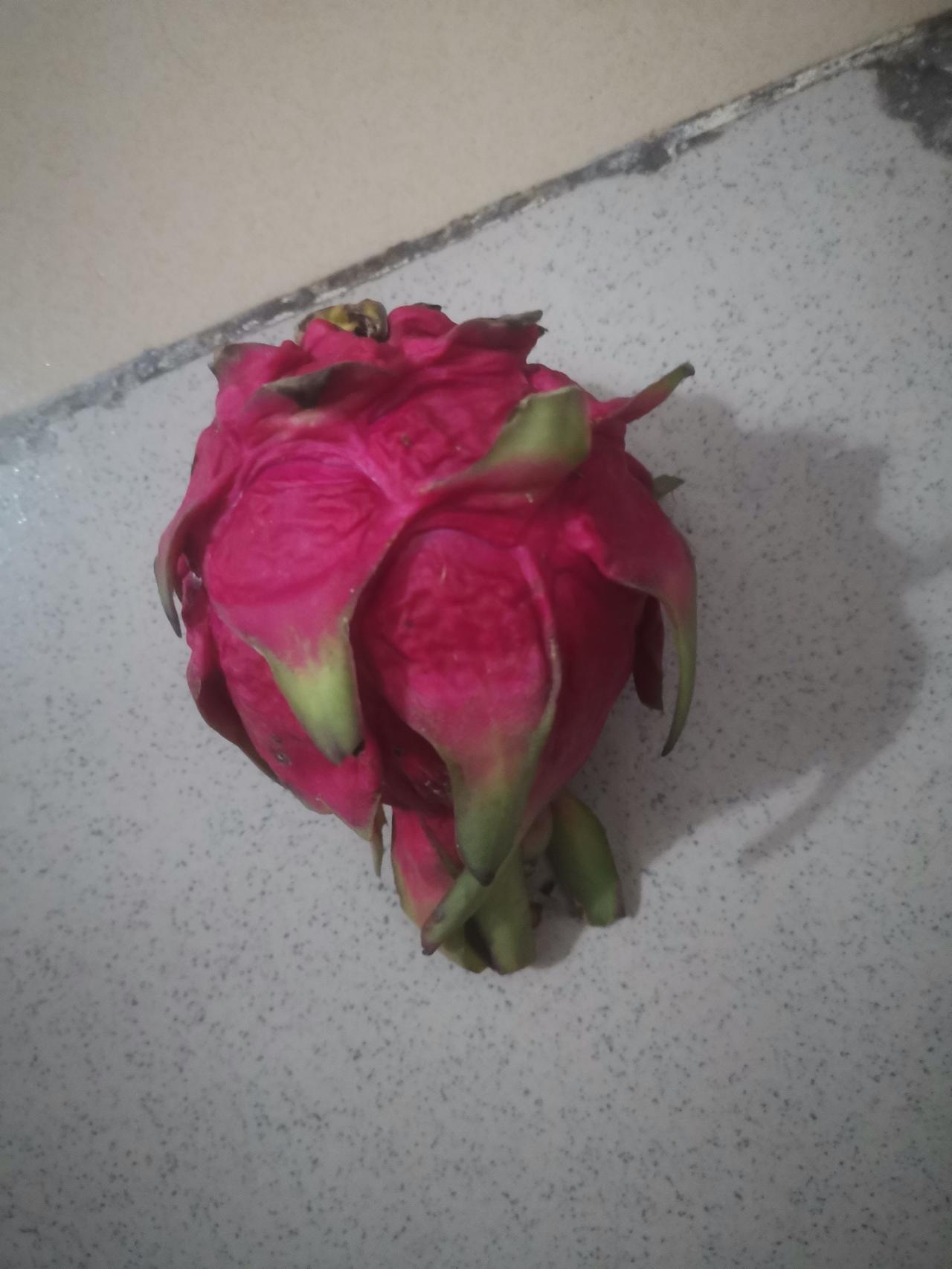 不要归真路，总求速效药。却不知道速效药来地快，去地也快。速效药只是让你看到短期效