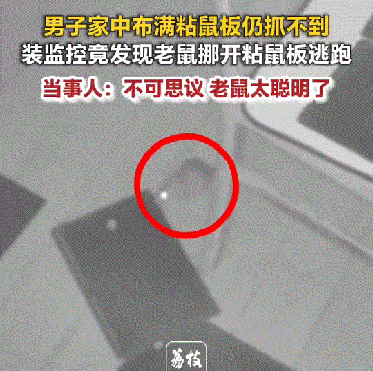 万万没有想到，安徽马鞍山，一男子发现家中有老鼠出没，但怎么抓都抓不到，于是男子直