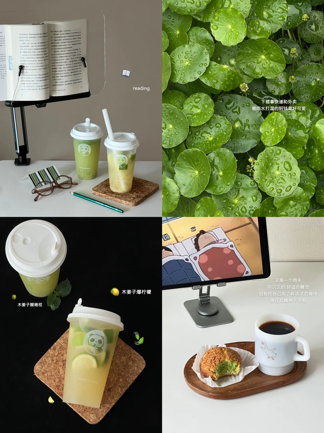 𝐏𝐥𝐨𝐠 不er 谁允许用木姜子做茶饮了！